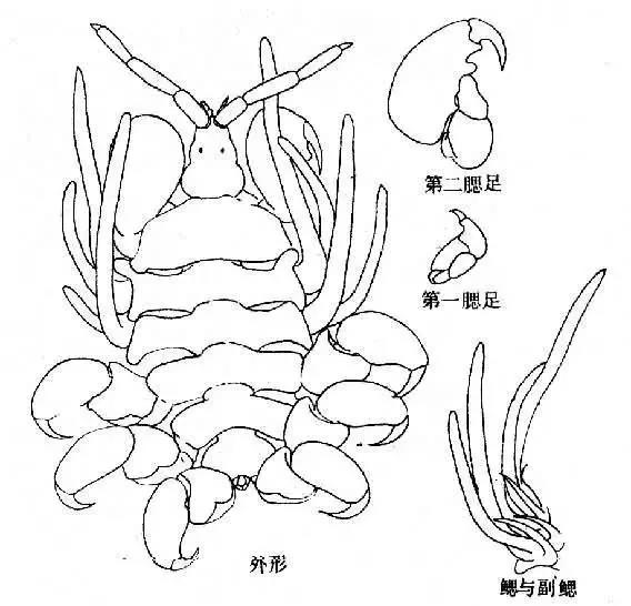 微信图片_20200303153257.jpg